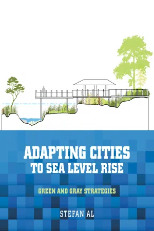 Adapting Cities to Sea Level Rise