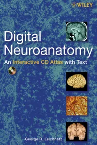 Digital Neuroanatomy_cover
