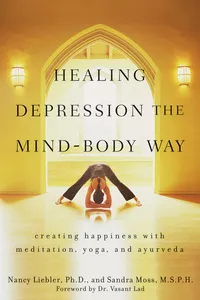 Healing Depression the Mind-Body Way_cover