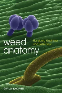 Weed Anatomy_cover