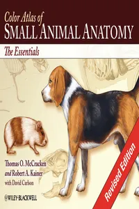 Color Atlas of Small Animal Anatomy_cover