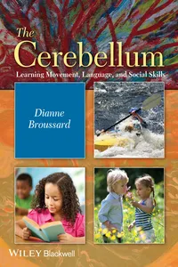 The Cerebellum_cover