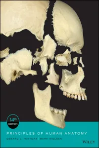 Principles of Human Anatomy_cover