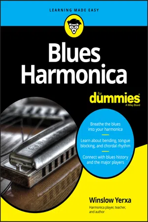 Big Blues Harmonica, Five Below