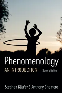 Phenomenology_cover