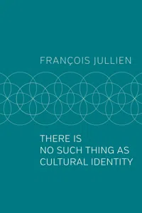 There Is No Such Thing as Cultural Identity_cover