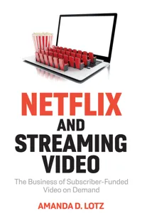 Netflix and Streaming Video_cover