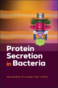 Protein Secretion in Bacteria_cover