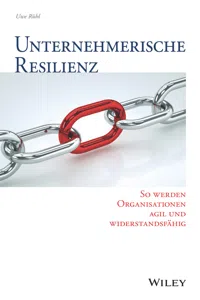 Unternehmerische Resilienz_cover