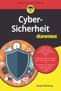Cyber-Sicherheit für Dummies_cover