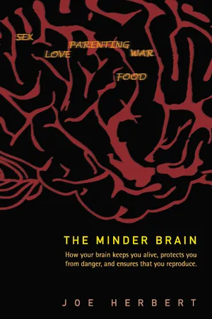 The Minder Brain